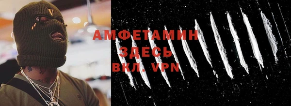 гидра Арсеньев