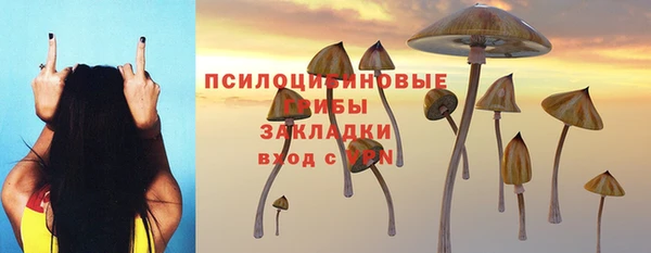 MDMA Premium VHQ Аркадак