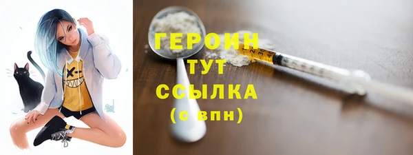 гидра Арсеньев