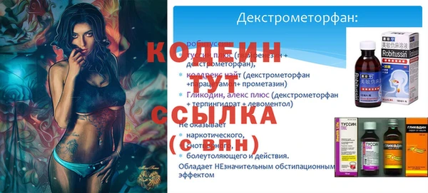 гидра Арсеньев