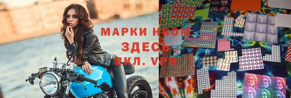 гидра Арсеньев