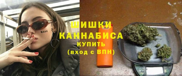 гидра Арсеньев