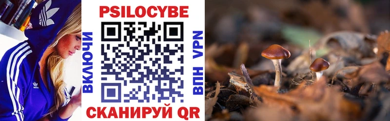 Галлюциногенные грибы ЛСД  купить   Фокино 